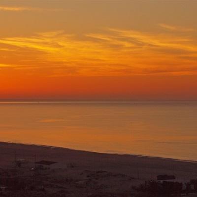 one体育全站APP下载