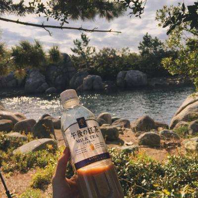 当CXO进入K型时代，药明康德为何能独善其身？