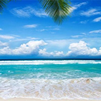 阳光电源：储能行业首选品牌的实...