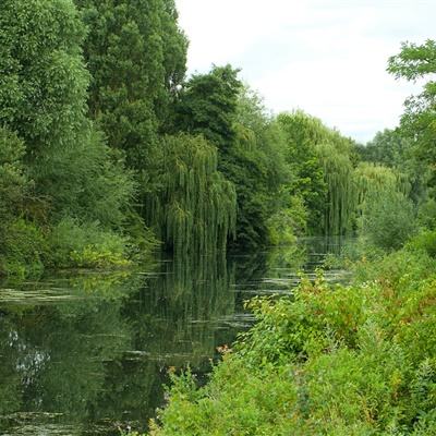 摘得双料“新质”大奖!格创东智...