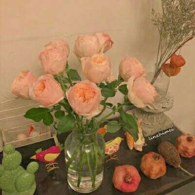 虫虫助手樱花校园模拟器最新版