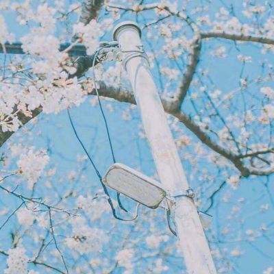 亚搏app娱乐手机版官网