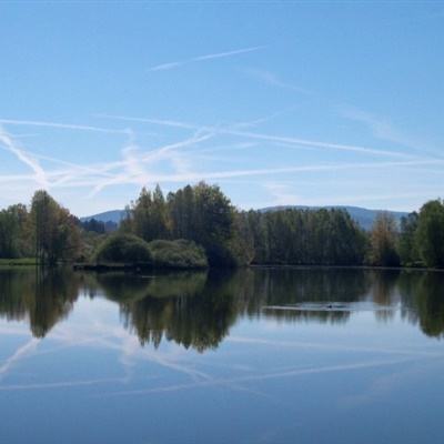 人类跌落梦境游戏应用