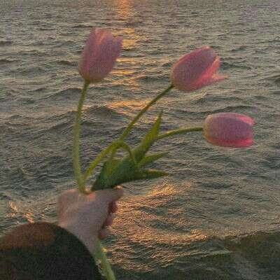 竞技宝网站官网