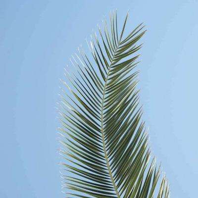 银行间债市再迎改革红利 交易商协会优化基础层企业注册发行机制 1月发行规模近8700亿元