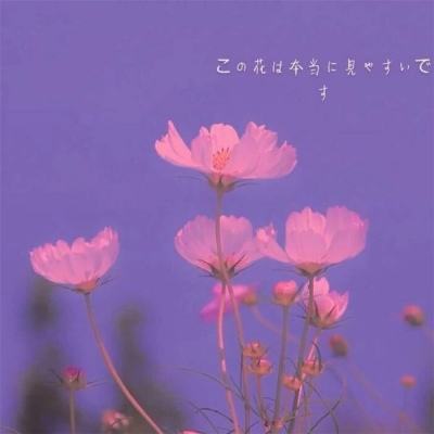 zoty中欧体育平台截图