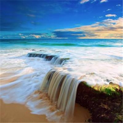 唐驳虎:美国4000万贫困人口?不讲标准就是耍流氓