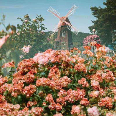 美国债市:美国国债维持涨势 尽管5年期债券发行疲软