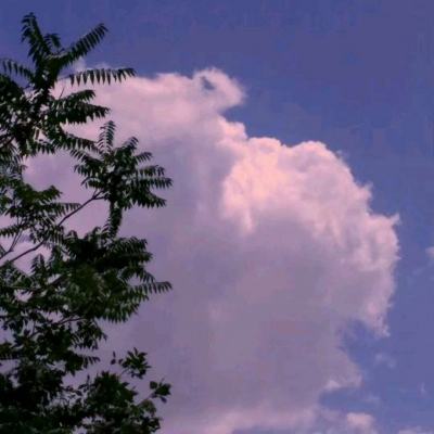 上海荣泰健康科技股份有限公司关于使用闲置募集资金进行现金管理赎回并继续进行现金管理的公告