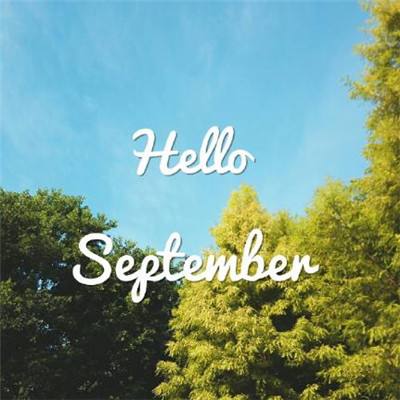 法国地方当局表示，3月24日在土伦法国海军基地附近发现一架未经授权的无人机。