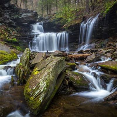 报告发现：AI 与机器人程序已正式接管互联网