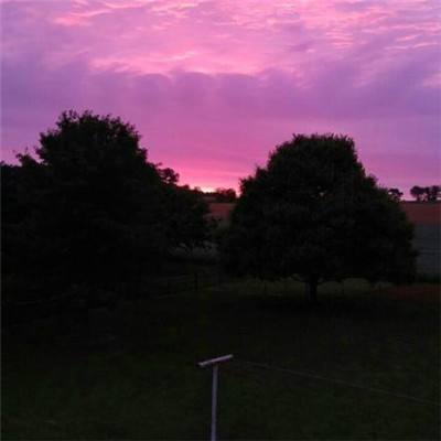 科创医药ETF华夏（588130）涨0.50%，成交额407.39万元