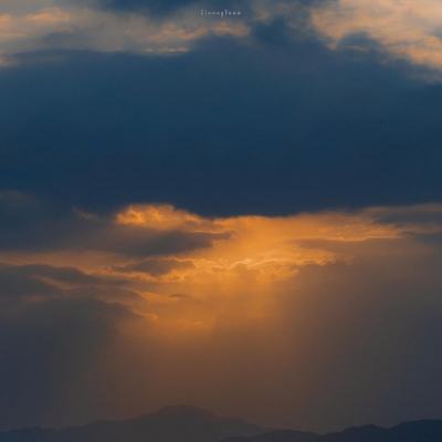 永利官网在线登录