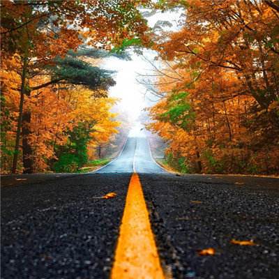 鹰眼预警：海顺新材营业收入下降