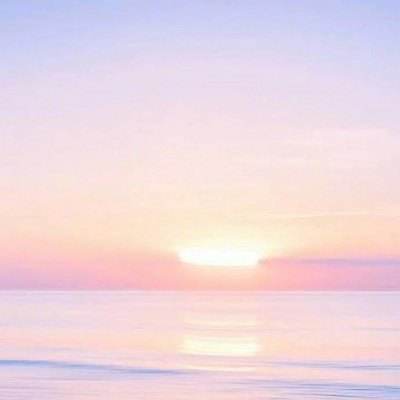 特朗普:伊朗希望达成和解 美国将促成此事