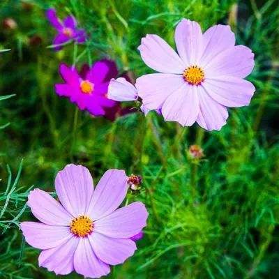 润物无声 一生担承一一初心如磐...