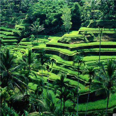 “以色列国防部大楼遭袭”