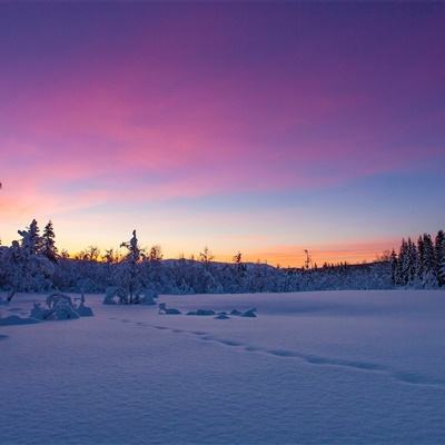 环球体育全站APP下载