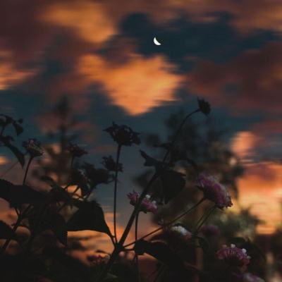 匈牙利外长:即日起逐步停止向乌克兰输送天然气