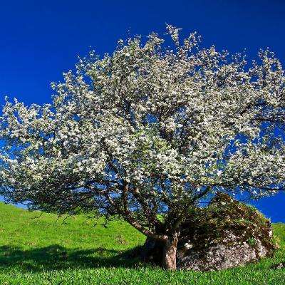 工商银行潍坊支行原高管涉诈骗罪等获刑十七年六个月,78名客户超5亿元资金追赔难