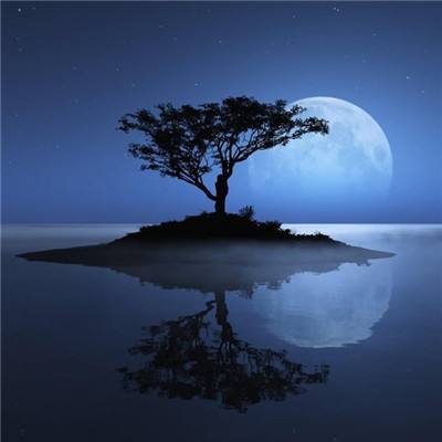 港股通科技ETF广发（159262）涨2.04%，成交额8.12亿元