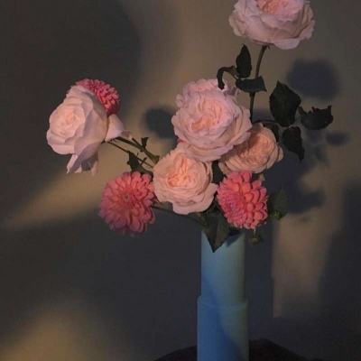 leyu乐鱼体育app在线相关推荐1