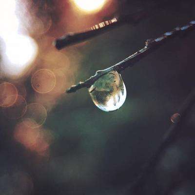 观点:此轮黄金走势并非仅是反弹 油价下跌与外交预期悄然改变市场情绪