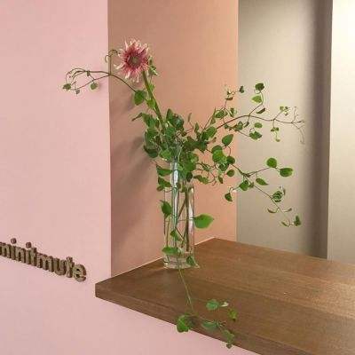 网络研讨会 | 以精密测量赋能两...