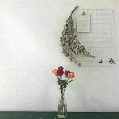 乐鱼体育官网信誉相关推荐1