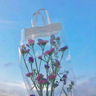 周永康令计划之后，又有人因“秘密文件”被查