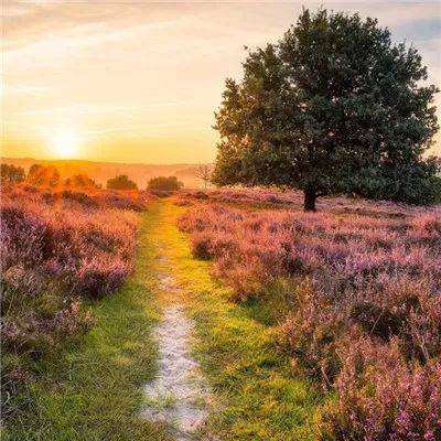 云娱乐棋牌app下载手机版