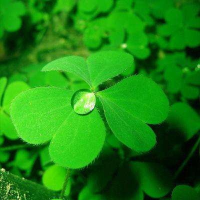 曼德海峡、霍尔木兹海峡,突发大消息!伊朗军方:正在搜捕美军!油价拉升,韩国股市跳水...