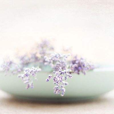 乐鱼体育官方客服亮点