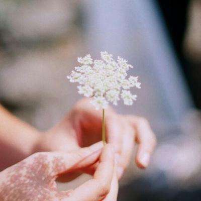 刚刚,利好来了!直线暴涨!