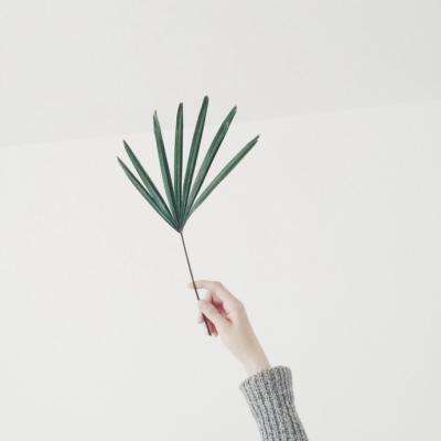 18新利在线官网(官方)综合娱乐APP下载