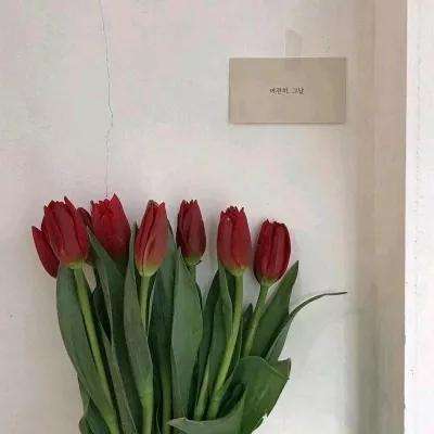 bsportapp官方网站(中国)官方网站截图