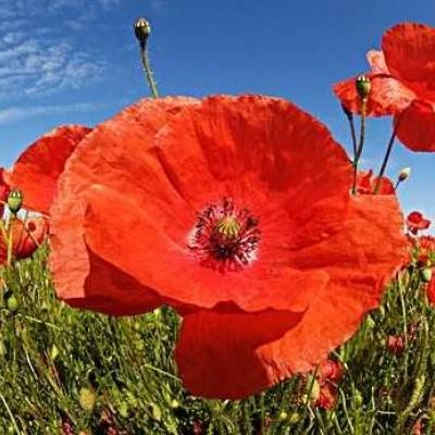 上海妈妈寻亲27年 悬赏市区一套房