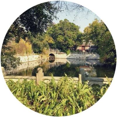 利息净收入大增超22%拉动业绩，万亿重庆银行营收、净利双增，年内现金分红近16亿