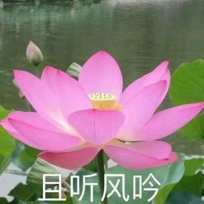 特斯拉公布