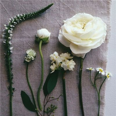 贵州楚台全国运营中心揭牌仪式暨《醉美顺富春》首发庆典圆满举行