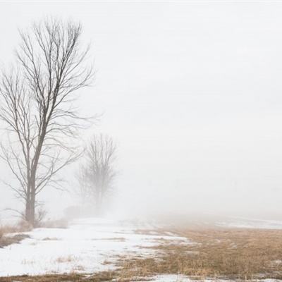 猫先生体育娱乐APP/手机APP下载