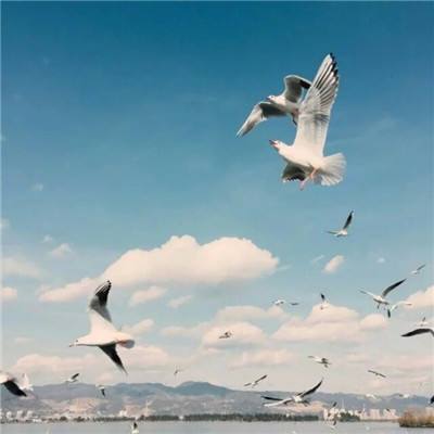 大手笔分红公司来了!这5家突破百亿,最高超300亿元