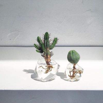 艺康集团称:数据中心冷却需求将比AI泡沫更持久