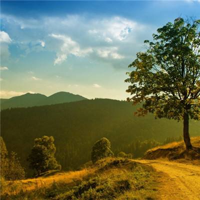 九游ag登录入口