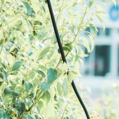 黑色星期一!亚太市场狂泻,日韩股市又跌麻了