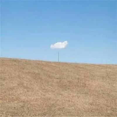 中国石化股价连续5天下跌累计跌幅6.37%,银河基金旗下1只基金持2.08万股,浮亏损失8320元