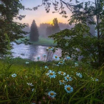 对冲基金和油企高管组团前往委内瑞拉 委代总统暗示有意对外资开放经济