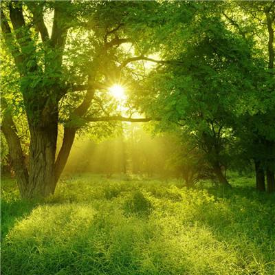 云开体育平台官网入口