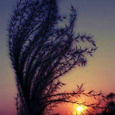 开元277棋牌app下载