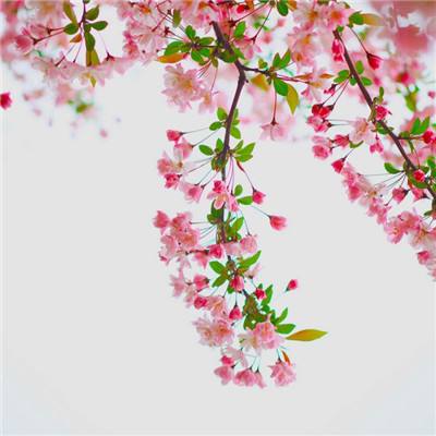 伊朗军力受损但打击有效性提升 据估计多达四分之一的导弹成功突防